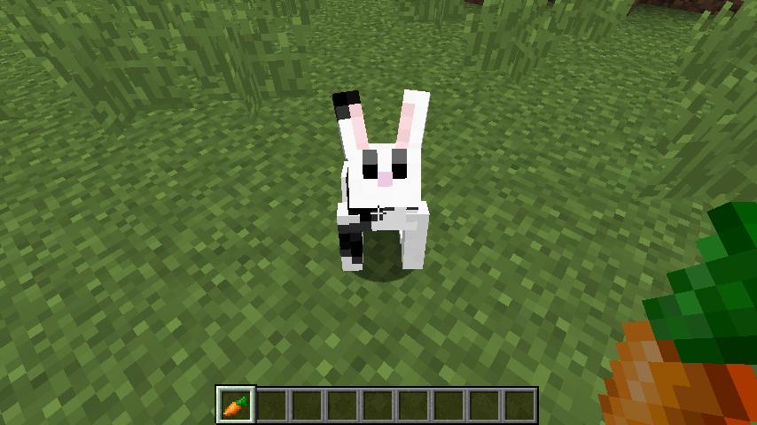 Minecraft - screenshot 2